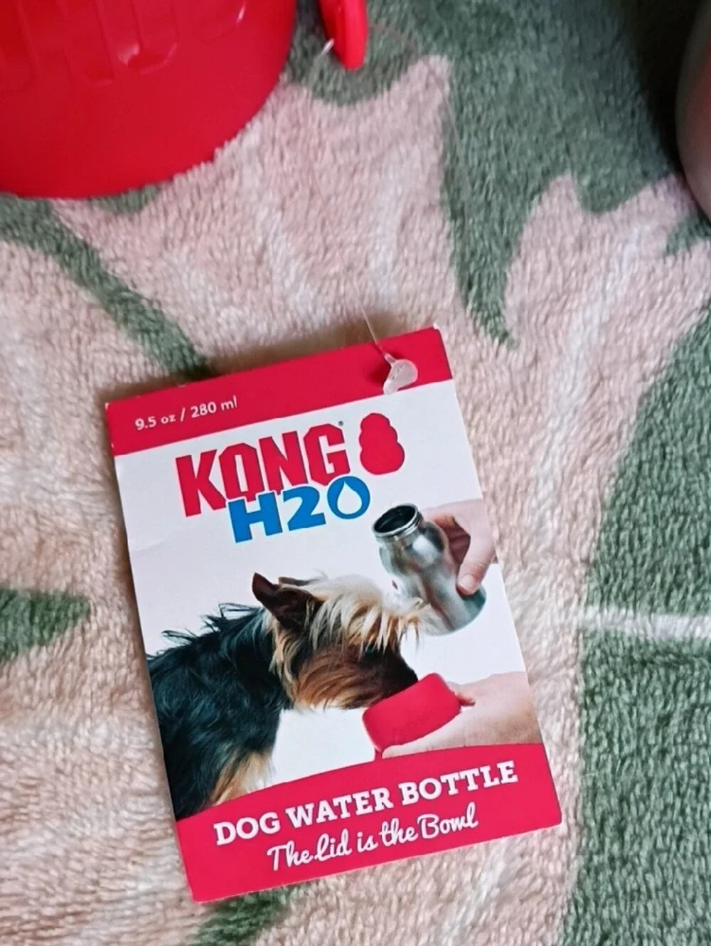 Kong Stainless Steel Dog Water Bottle with Red Lid
